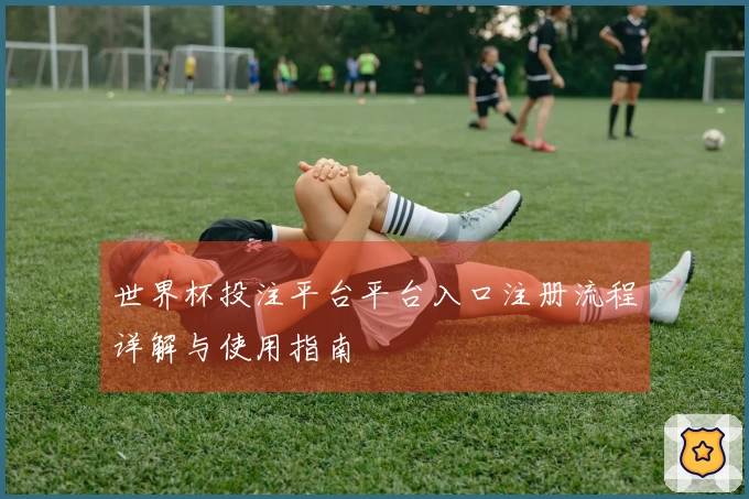 世界杯投注平台平台入口注册流程详解与使用指南