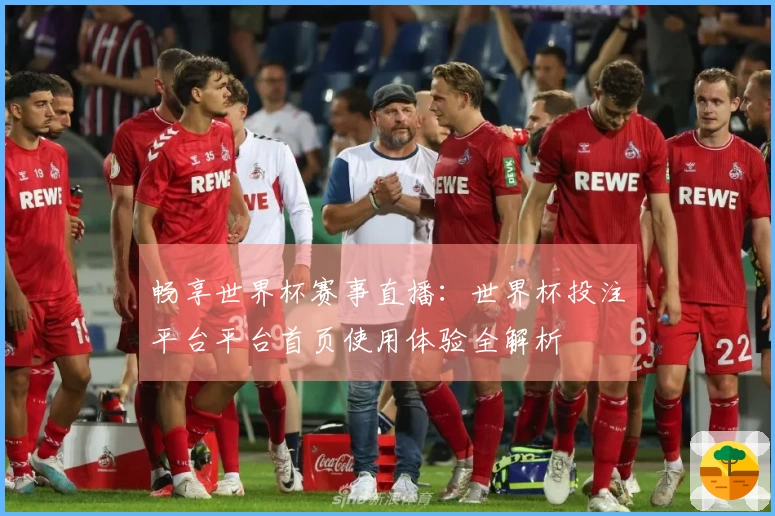 畅享世界杯赛事直播：世界杯投注平台平台首页使用体验全解析