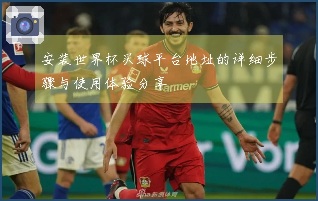 安装世界杯买球平台地址的详细步骤与使用体验分享