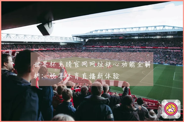 世界杯竞猜官网网址核心功能全解析：畅享体育直播新体验