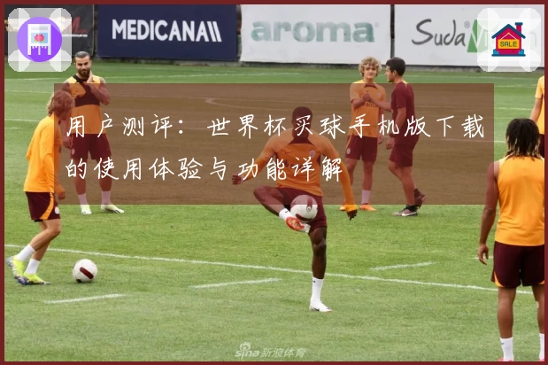 用户测评：世界杯买球手机版下载的使用体验与功能详解