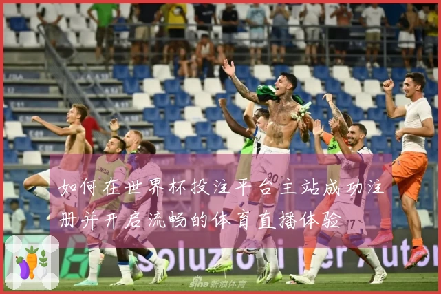 如何在世界杯投注平台主站成功注册并开启流畅的体育直播体验