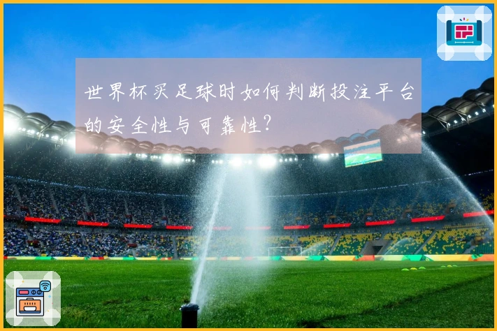 世界杯买足球时如何判断投注平台的安全性与可靠性？