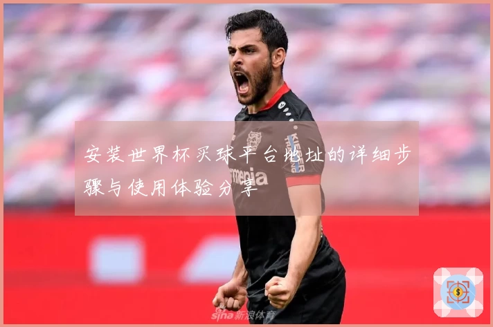 安装世界杯买球平台地址的详细步骤与使用体验分享