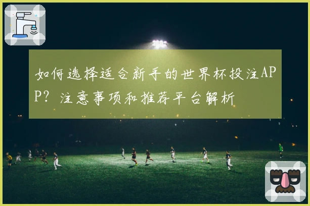 如何选择适合新手的世界杯投注APP？注意事项和推荐平台解析