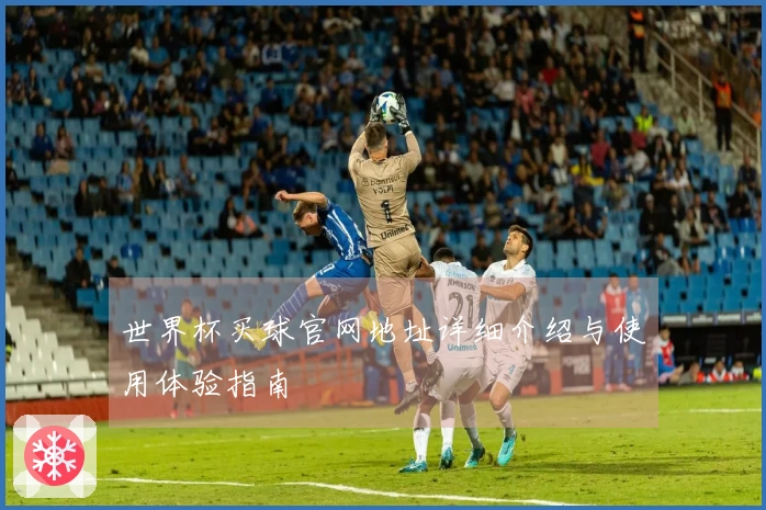 世界杯买球官网地址详细介绍与使用体验指南