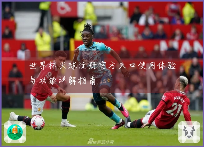 世界杯买球注册官方入口使用体验与功能详解指南